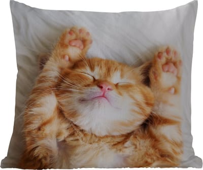 Tuinkussen - Kat - Rood - Huisdieren - Kitten - 40x40 cm - Weerbestendig