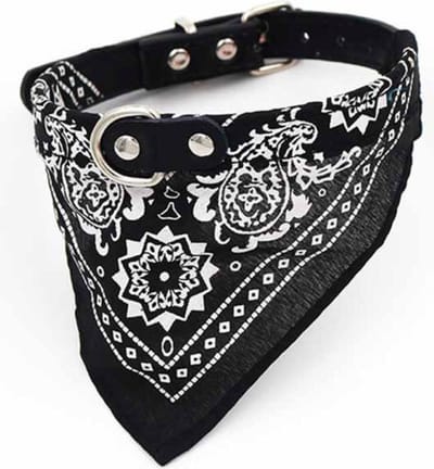 WiseGoods Premium Bandana Halsband Hond - Puppy Halsband - Huisdieren - Honden - Katten - Nekomtrek 23-28 cm - Zwart