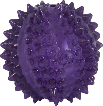 JW Bristl-ee cactus ball - Hondenspeeltje - Puppy speelgoed - Bijtbal - Paars - Ø 6,5 cm