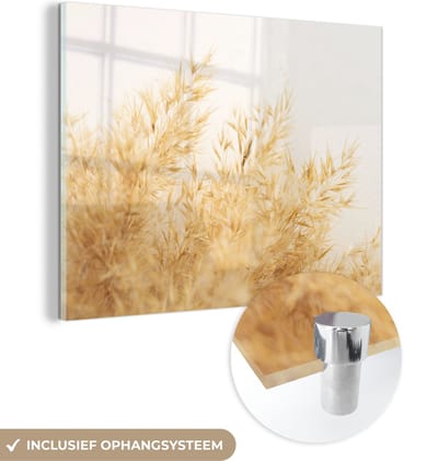 MuchoWow® Glasschilderij 40x30 cm - Schilderij acrylglas - Pampasgras - Zon - Gras - Foto op glas - Schilderijen