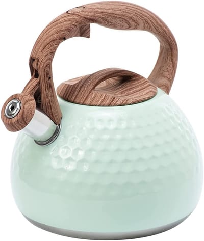 Fluitketel RVS - Waterketel Theepot - Water Koken - Luid Fluitgeluid - 2.8 Liter - Groen