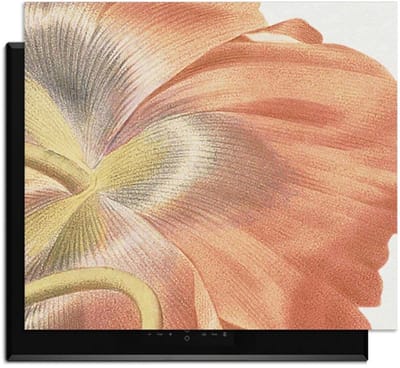 KitchenArt - Poppy Bloom – Inductie Beschermer - 52x35 cm - Kookplaat Beschermer - Luxe Afdekplaat Inductieplaat - Anti-slip & Oprolbaar - Beschermmat Inductiekookplaat