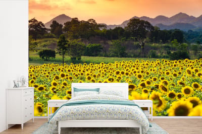 Behang - Fotobehang Zonnebloem - Natuur - Berg - Breedte 420 cm x hoogte 280 cm