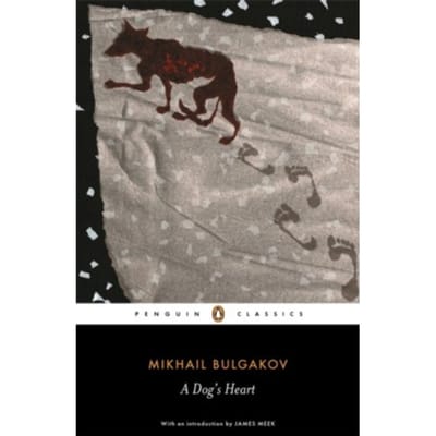Een Hondenhart door Michail Boelgakov Paperback Boek 9780140455151