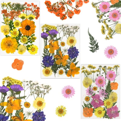 Unyqoos® Set van 66 Diverse Gedroogde Bloemen voor Creatieve Decoratie en Ambacht