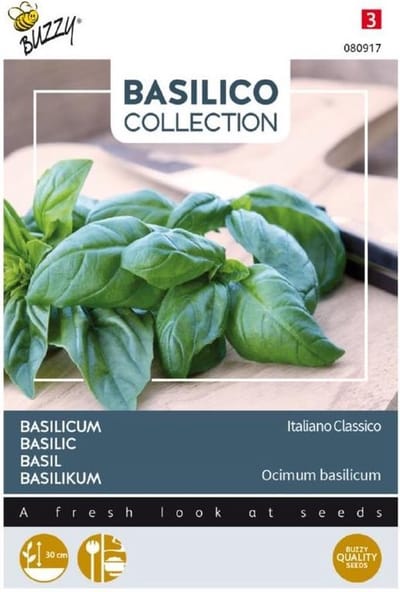 Basilico Italiano Classico