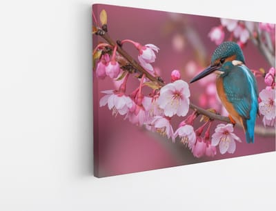 Saammp Canvas Schilderij - Kolibrie op tak met roze bloesem - Natuur - Dieren- 45x30 - Foto op canvas - Wanddecoratie - Muurdecoratie Kinderkamer - Slaapkamer decoratie - Canvas Print