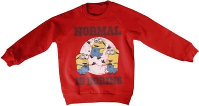 Minions Sweater/trui kids -Kids tm 4 jaar- Normal Life Is Boring Rood