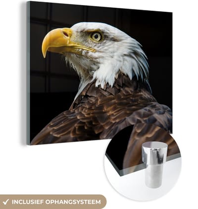 MuchoWow® Glasschilderij 160x120 cm - Schilderij acrylglas - Adelaar - Vogel - Ogen - Snavel - Foto op glas - Schilderijen