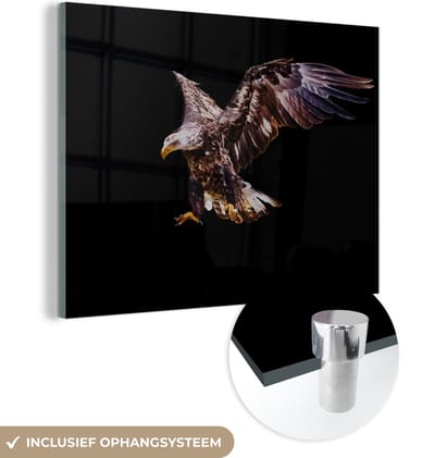 MuchoWow® Glasschilderij 160x120 cm - Schilderij acrylglas - Adelaar - Vogel - Veren - Foto op glas - Schilderijen