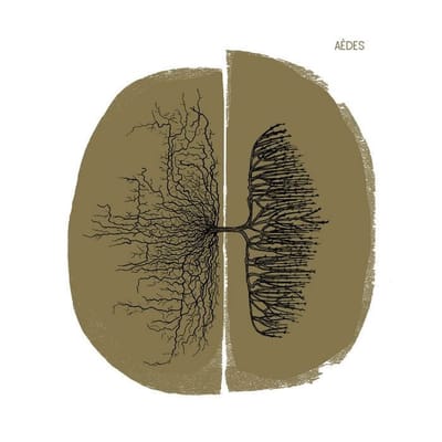 Aèdes - Camin Sobiran (CD)