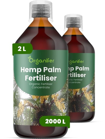 Vloeibare Meststof Voor Henneppalm 2X1 L Voor 2000 L - Npk 2-1-8 - Dichtheid - Sterk Wortelstelsel - Ondersteunt Krachtige Blad- En Stamontwikkeling - Behoudt Een Sterke Plantstructuur Gedurende Het Groeiseizoen - Organifer