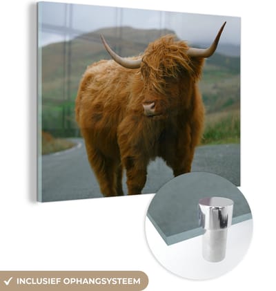 MuchoWow® Glasschilderij 160x120 cm - Schilderij acrylglas - Schotse Hooglander - Berg - Weg - Foto op glas - Schilderijen