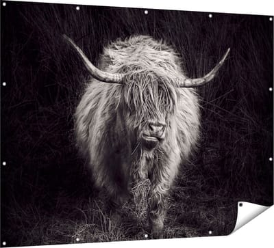 Gards Tuinposter Schotse Hooglander Koe - Zwart Wit - 160x120 cm - Tuindoek - Tuindecoratie - Wanddecoratie buiten - Tuinschilderij