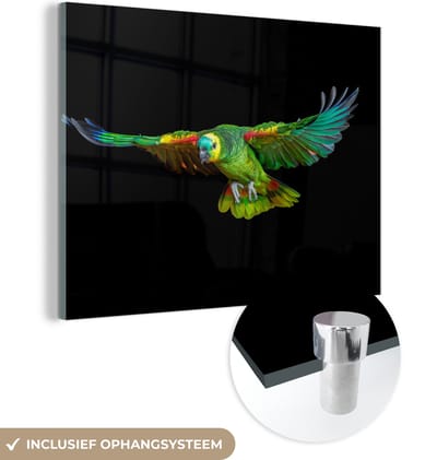 MuchoWow® Glasschilderij 160x120 cm - Schilderij acrylglas - Papegaai - Vogel - Veren - Foto op glas - Schilderijen