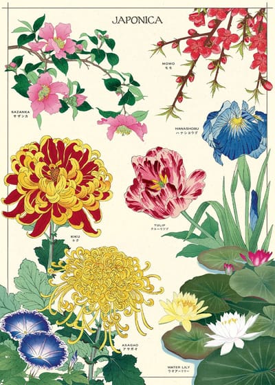 Poster Japonica - Cavallini & Co - Vintage schoolplaat - Posters