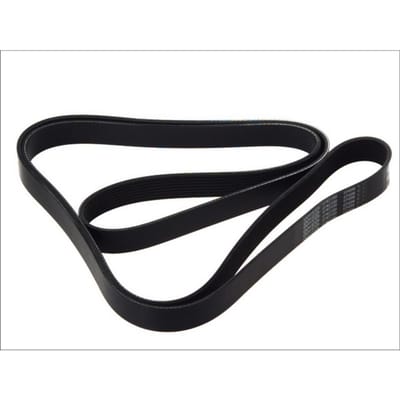 V-riem DAYCO 8PK2555HD