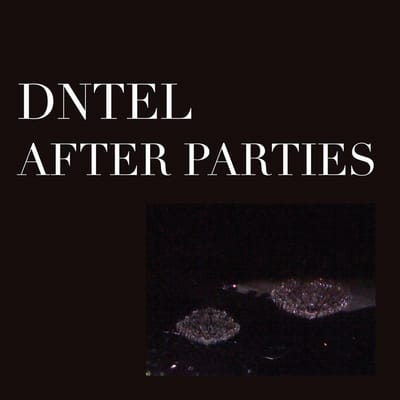 Dntel - After Parties 2 (12" Single)