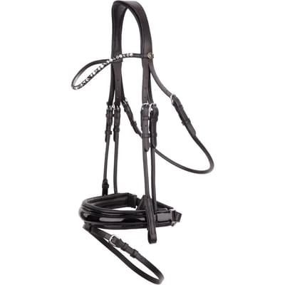 Anatomische hoofdstellen BR Equitation Andover