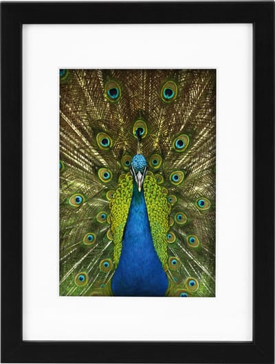 Goldbuch - Fotolijst Pino - Zwart - 10x15 cm (15x20 cm)