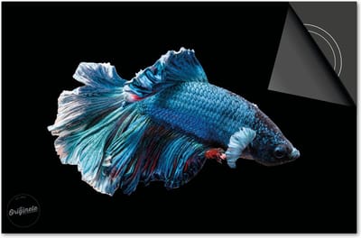 Inductie beschermer 60x60 - afdekplaat inductie mat - Dietrix Kookplaat beschermer - Exclusief - Under the Sea - Blauwe Vis