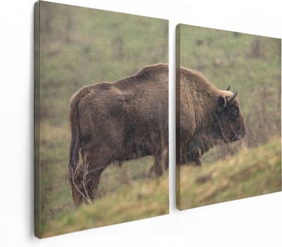 Artaza Canvas Schilderij Tweeluik Bizon in het Gras - 120x80 - Foto Op Canvas - Canvas Print