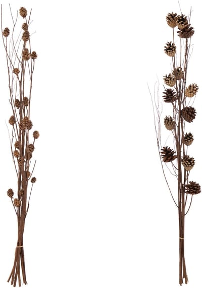 J-Line decoratie tak Denappel Droogbloemen - riet - donkerbruin - 2 stuks