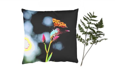 Sierkussens - Kussentjes Woonkamer - 45x45 cm - Vlinder - Bloemen - Insecten