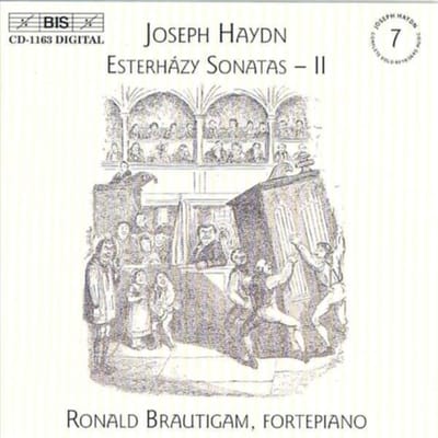 Ronald Brautigam - Haydn: Keyboard Sonatas Vol 7 (CD)