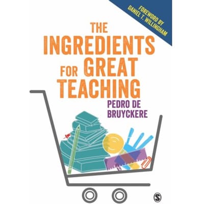 The Ingredients For Great Teaching - Pedro De Bruyckere