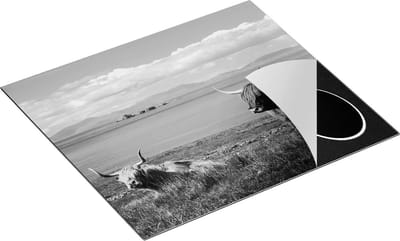 Chefcare Inductie Beschermer Twee Schotse Hooglanders bij een Meer - Zwart Wit - 60x50 cm - Afdekplaat Inductie - Kookplaat Beschermer - Inductie Mat