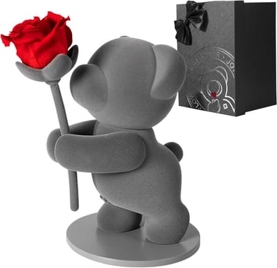Bewaarde Rozenbeer Cadeau - Eeuwige Roos Teddybeer in Geschenkdoos