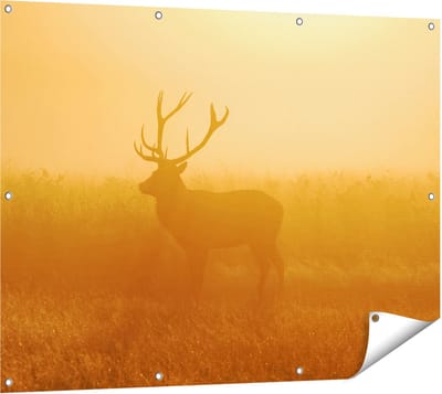 Gards Tuinposter Hert tijdens de Mist - 120x90 cm - Tuindoek - Tuindecoratie - Wanddecoratie buiten - Tuinschilderij
