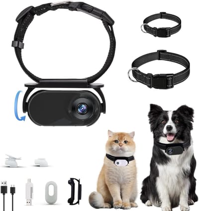 Dashcam Geschikt voor kat en hond Geschikt voor huisdierperspectief (geheugenkaart niet inbegrepen) - Zwart