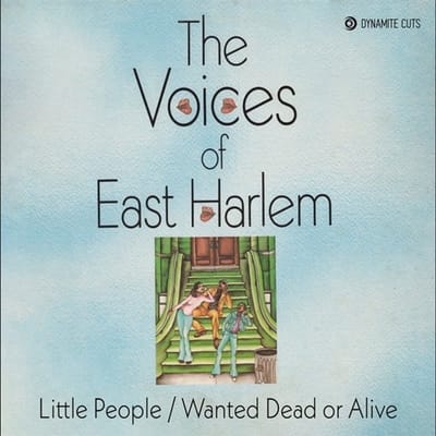 The Voices Of East Harlem - The Voices Of East Harlem (CD)