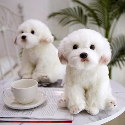 Hoge Kwaliteit Levensgetrouwe Maltezer Hond Pluche Speelgoed Zacht Cartoon Dier Hond Knuffelpop Huisdecoratie Verjaardagscadeau 38cm white