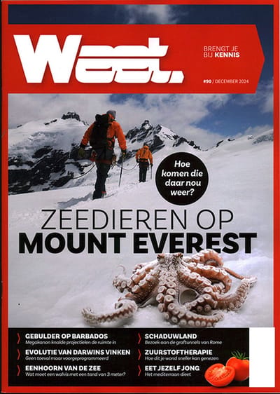 Weet Magazine - 90 2024