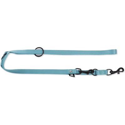 Hondenriem Nylon Martin - Verstelbaar Turquoise 200x2 cm - Stevige Looplijn met Musketonhaak