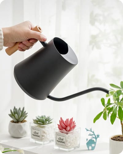 Roestvrijstalen huisbonsai gieter 1 liter - houten handvat - lange uitloop - zwart