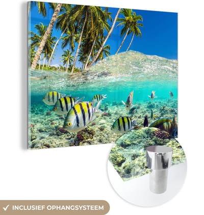 MuchoWow® Glasschilderij 160x120 cm - Schilderij acrylglas - Zee - Vissen - Koraal - Foto op glas - Muurdecoratie woonkamer - Wanddecoratie slaapkamer - Schilderijen