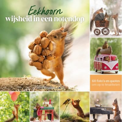 Eekhoorn Wijsheid In Een Notendop - Geert Weggen
