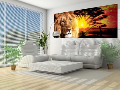 Lion Sunset Africa Nature Tree Photo Wallcovering