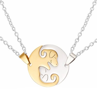 Fako Bijoux® - Vriendschapsketting - BFF Ketting - RVS - Hond - Yin Yang - Rond - Zilver/Goud