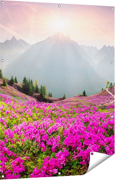 Gards Tuinposter Rhododendron Bloemenveld in de Alpen - 90x120 cm - Tuindoek - Tuindecoratie - Wanddecoratie buiten - Tuinschilderij