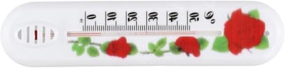 Wandthermometer - Binnen Buiten - Temperatuur Meten - Geen Batterijen Nodig - 24 x 6 cm - Transparant