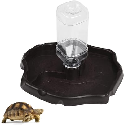 Turtle Water Bowl voor Reptielen, Voer- en Waterdispenser voor Schildpadden, Hagedissen en Slangen, Ideaal voor Thuisgebruik en Terrarium