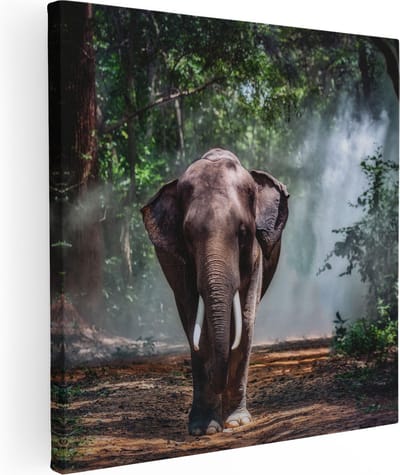 Artaza Canvas Schilderij Olifant - 80x80 cm - Wanddecoratie Bos - Muurdecoratie Jungle - Schilderijen Op Canvas Dieren