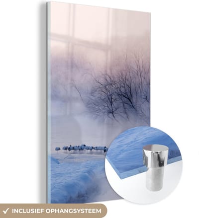 MuchoWow® Glasschilderij 120x180 cm - Schilderij acrylglas - Vogel - Mist - Rivier - Winter - IJs - Foto op glas - Schilderijen