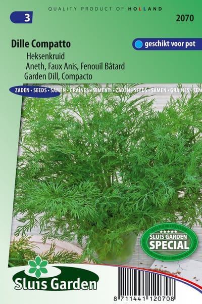 Sluis Garden - Dille Compatto (Anethum graveolens)