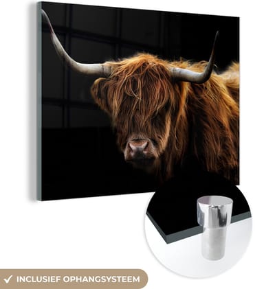 Glasschilderij Schotse Hooglander - Horens - Zwart - Dieren - Koe - Woonkamer - 160x120 cm - Foto op glas - Wanddecoratie glas - Kamer decoratie - Glasplaat - Muurdecoratie